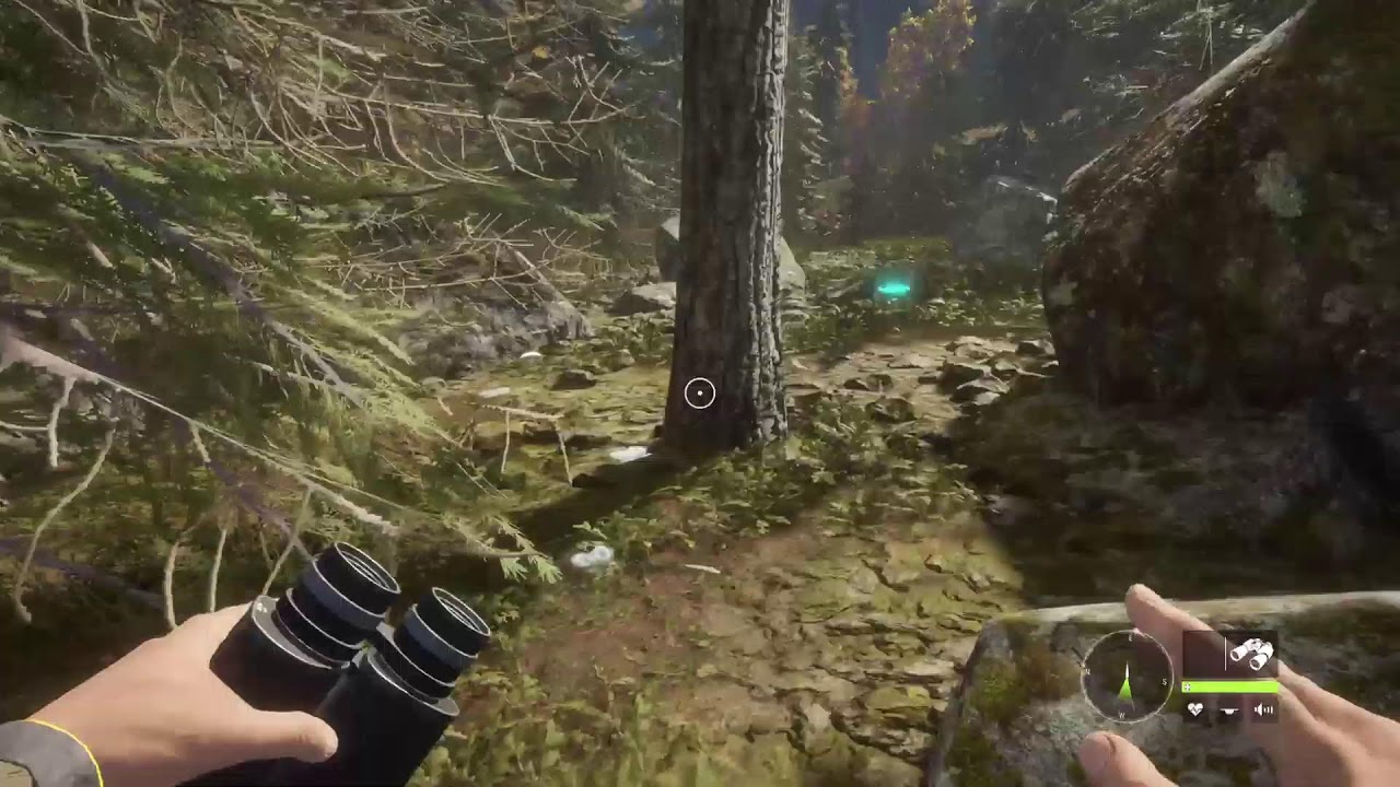 Thehunter    call of the wild