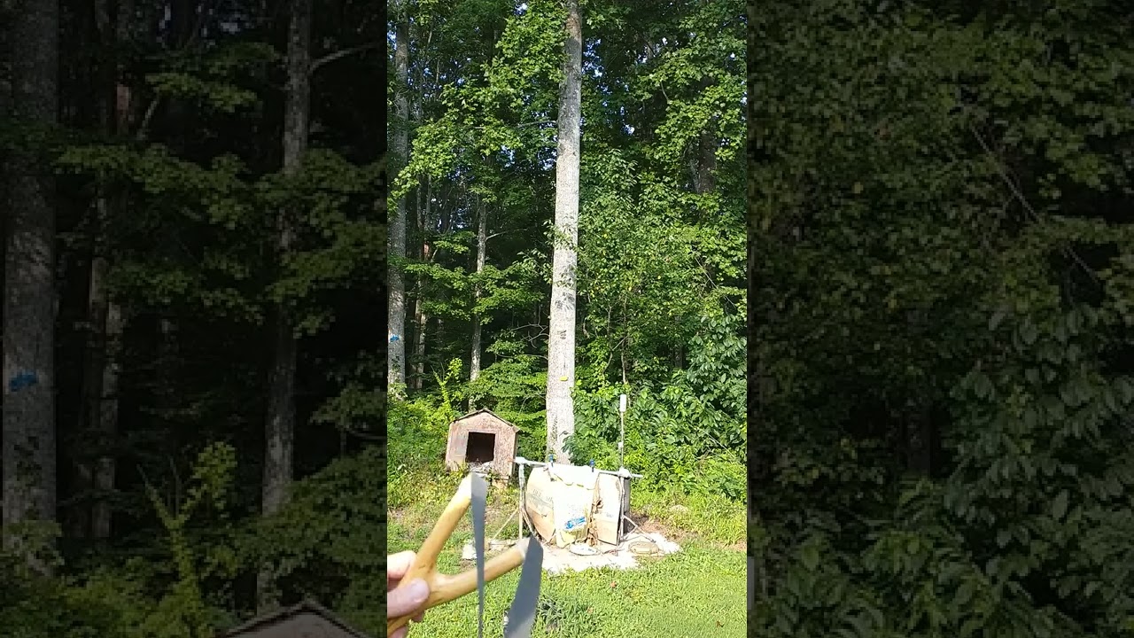Marble Chucker #slingshot