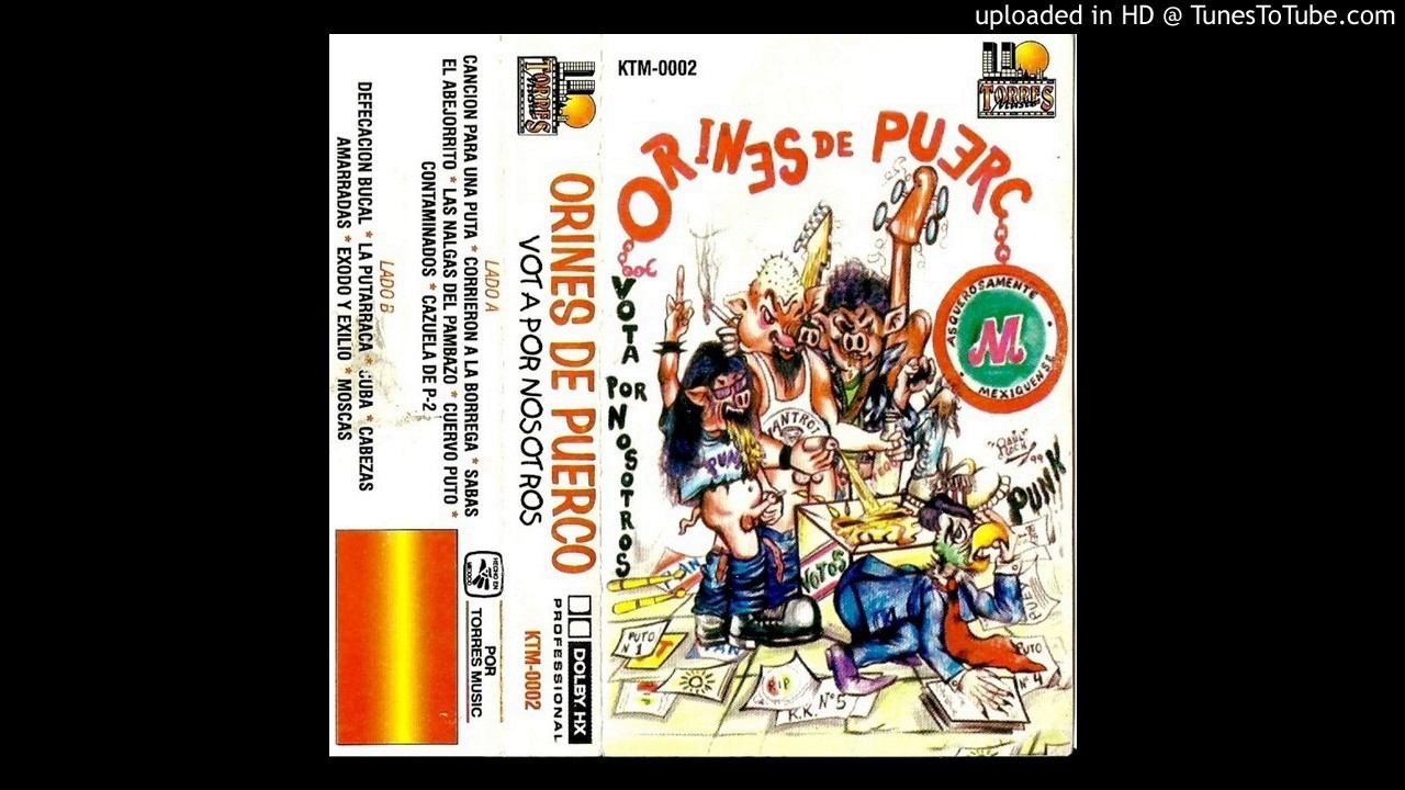 ORINES DE PUERCO - corrieron a la borrega