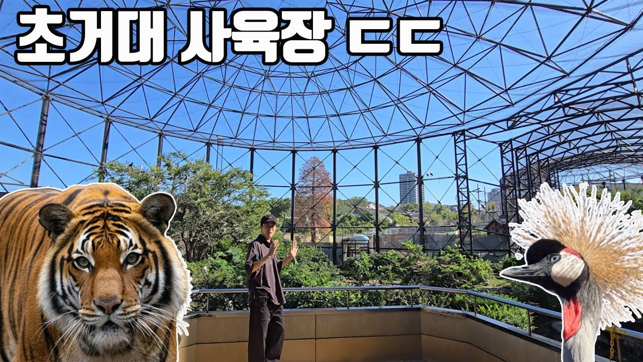 거대도시 한복판에 있는 100년 넘은 동물원은 어떤 모습일까?