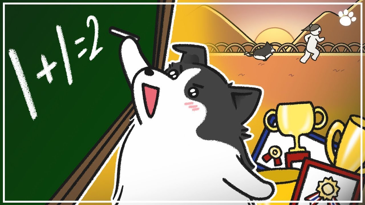 Border Collie: The Smartest & Most Energetic Dog in the World? 🐶 | Personality, Training & Facts