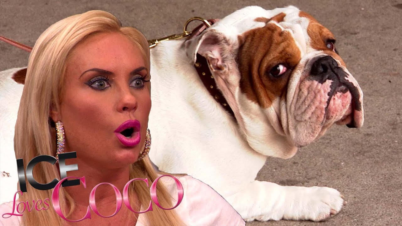 Full Episode: Spartacus and Maximus get Fixed?! | Ice Loves CoCo S3 E05 | E! Rewind