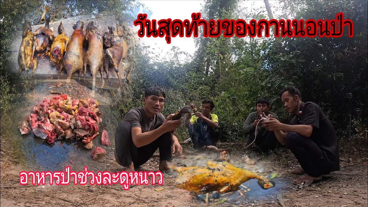 วันสุดทา้ยของกานนอนป่า