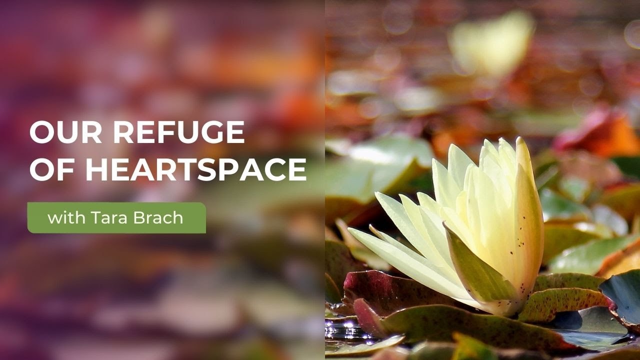 Tara Brach: Finding Refuge in Heartspace – Wise Responses to a Hurting World