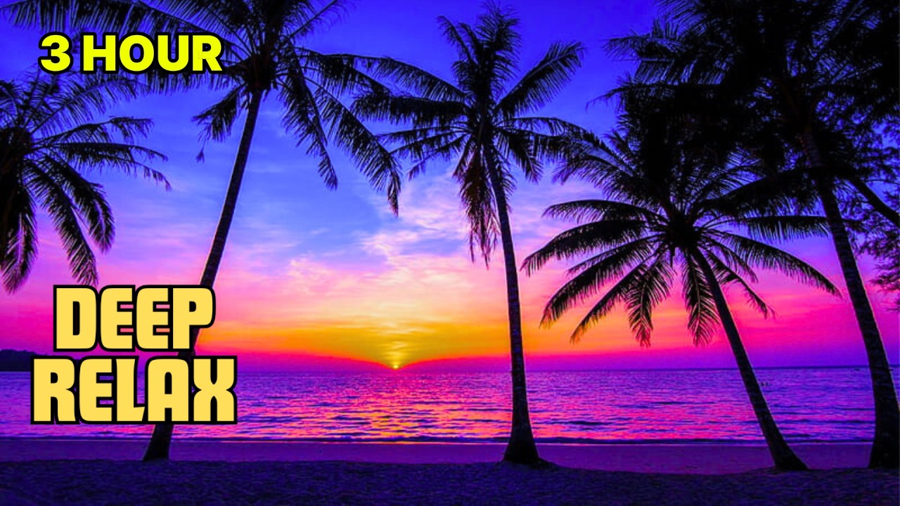Island Reggae Sleep Music 🌴 Deep Relaxation for a Peaceful Night (3 Hour)