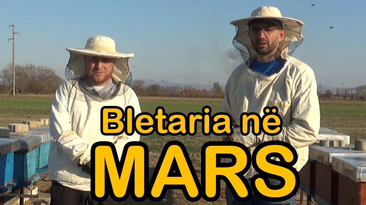 MARSI: Çfarë duhet të bëjë Bletari ? ( Kalendari i Bletarit )