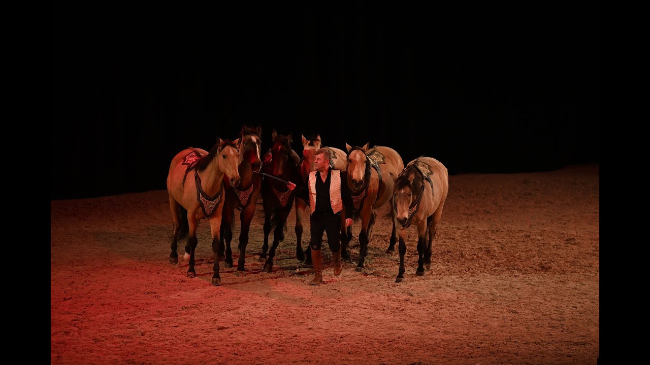 ETOILES EQUESTRES 2022 - la Finale