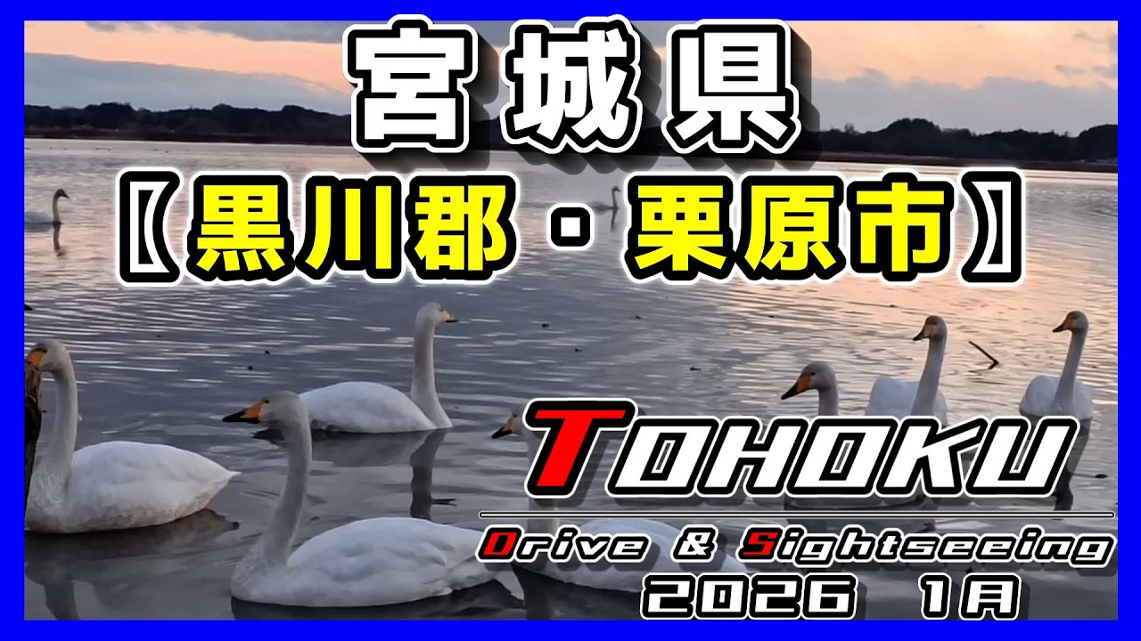 「東北　ドライブ＆観光」宮城県┃黒川郡大郷町┃栗原市若柳┃道の駅『おおさと』┃スプリングロード┃伊豆沼┃森乃館