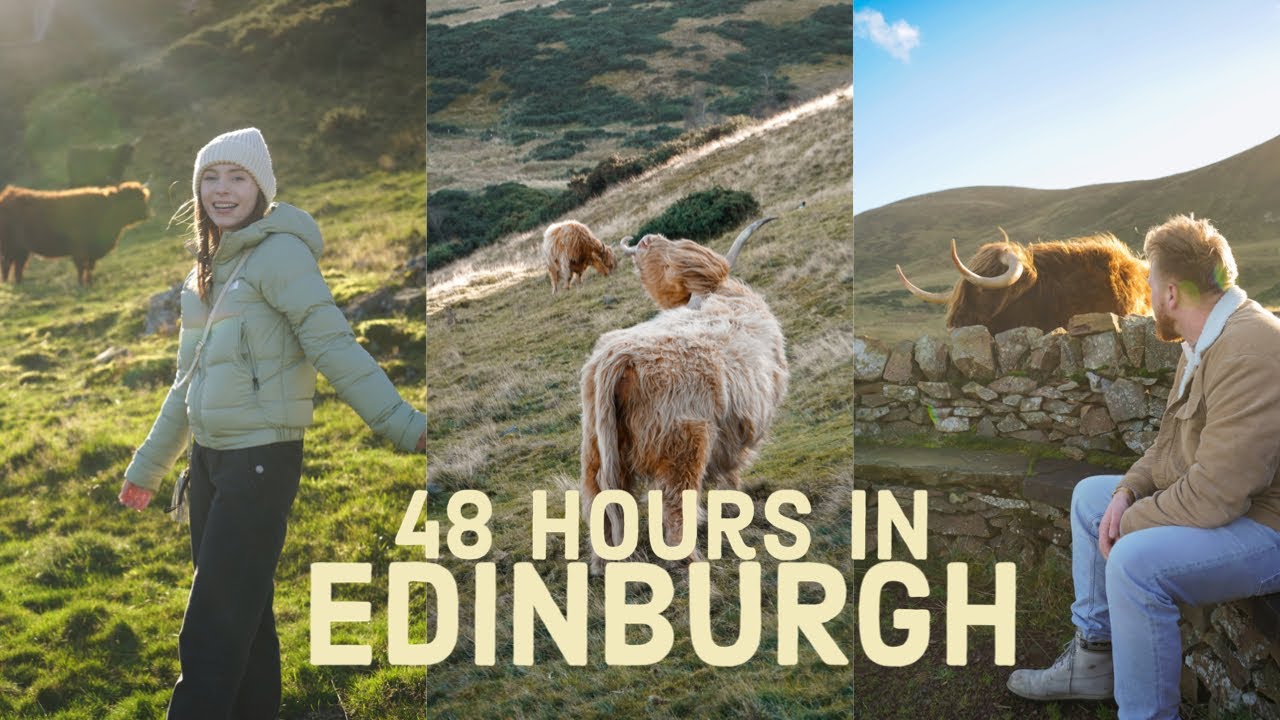 WE SAW HIGHLAND COWS IN EDINBURGH (48 hours in Edinburgh)