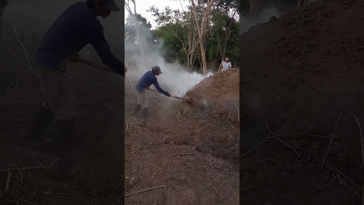 horneado de le&ntilde;os para hacer carb&oacute;n vegetal