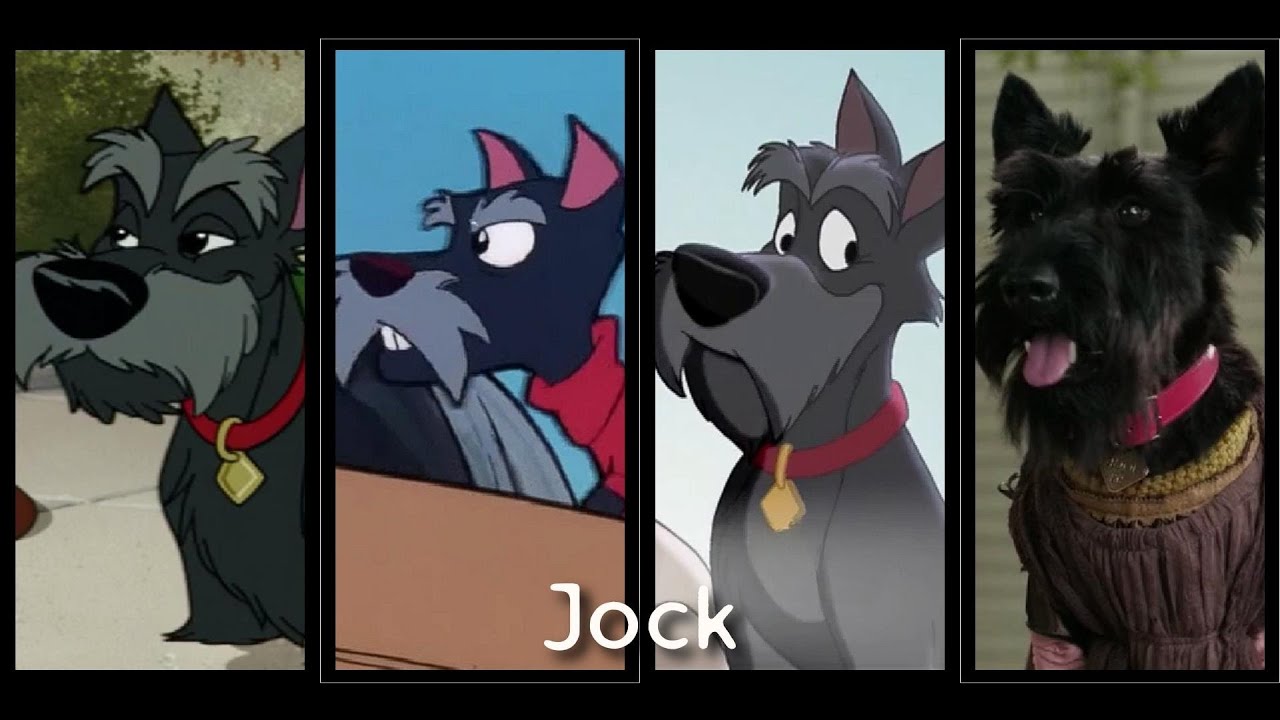 Jock Evolution 2023 (Lady and the Tramp)