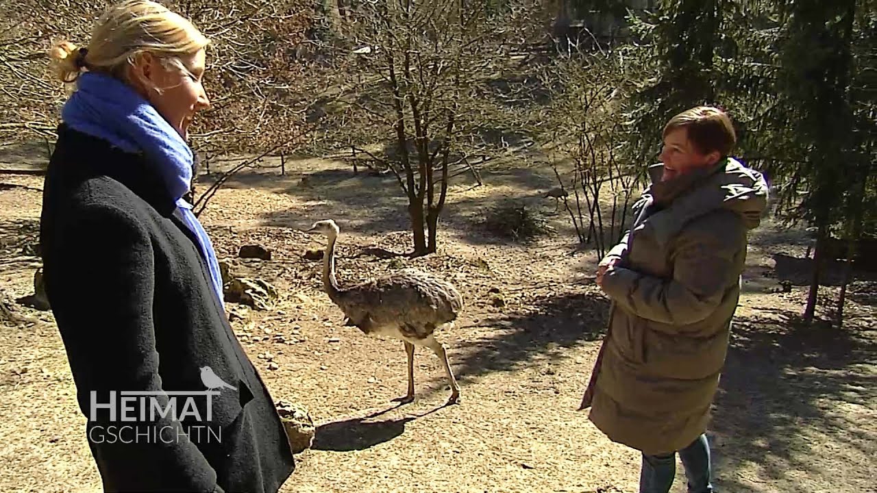 Heimatgschichtn - im Tier- und Vogelpark Abensberg