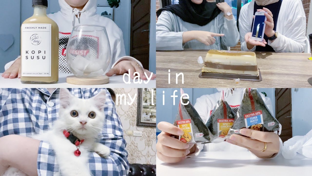 eng) day in my life 🌈 adopted a cat, exam, unboxing | Indonesia
