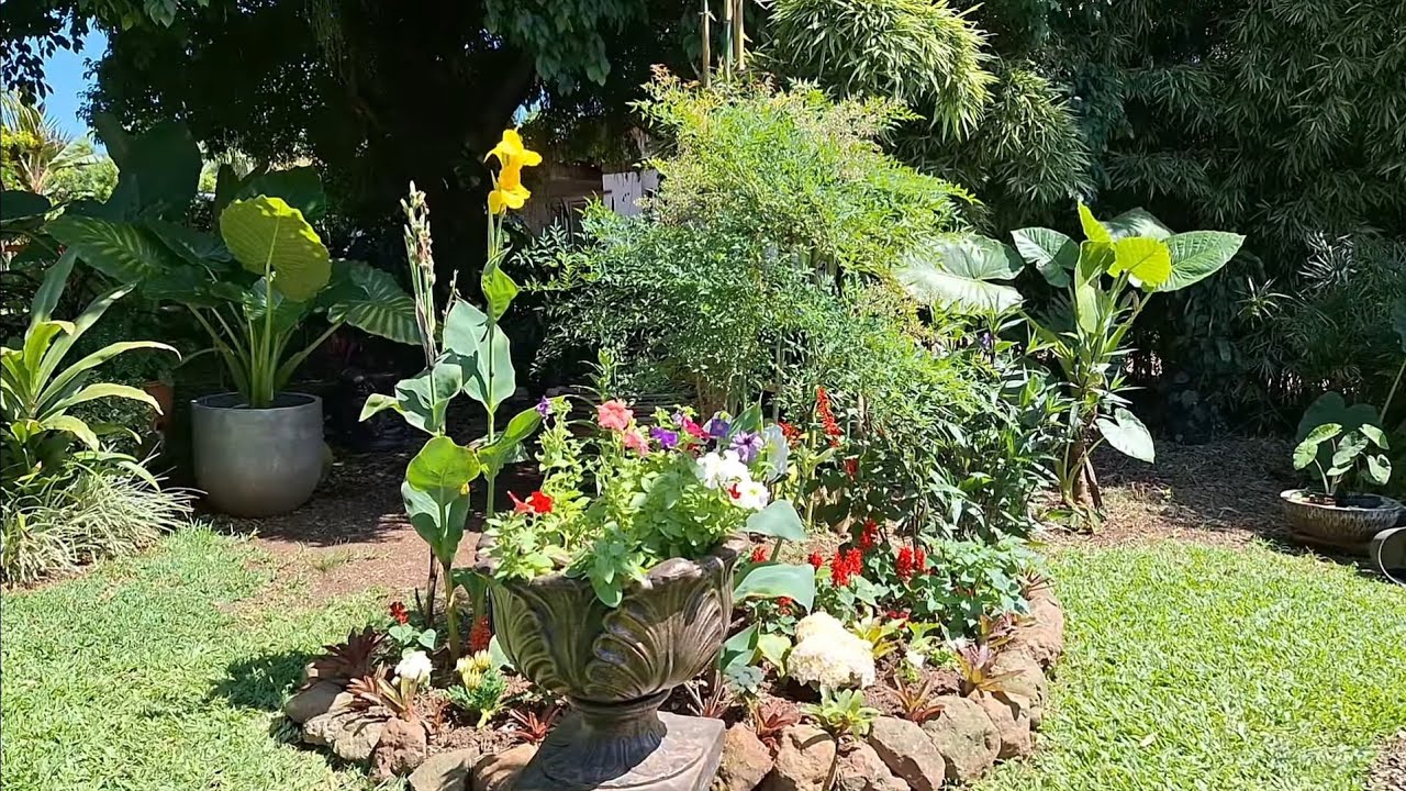 Canteiro Natalino 🤶🎅🎄🌱🐞🌹🐝