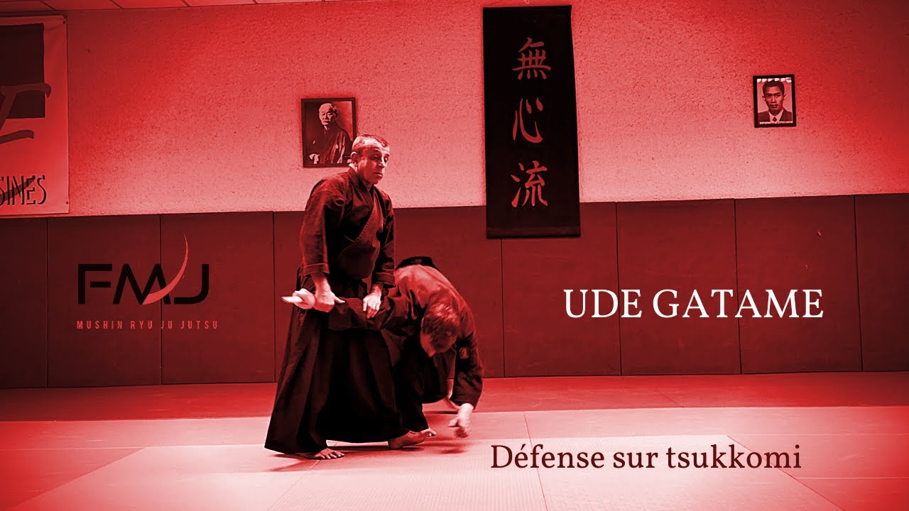 Mushin ryu Ju jitsu : Tsukkomi, Ude gatame ichi