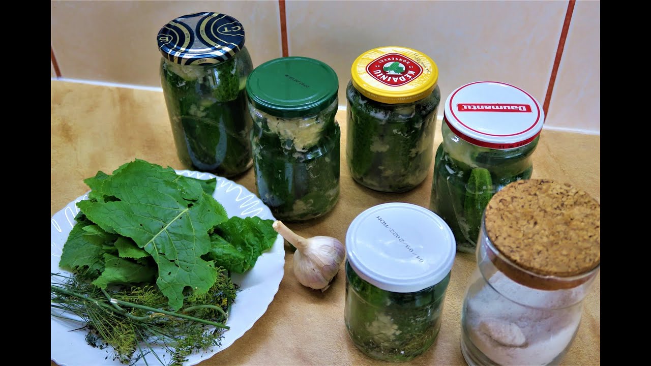 Соленые огурчики с чесночным лакомством холодными вечерами.