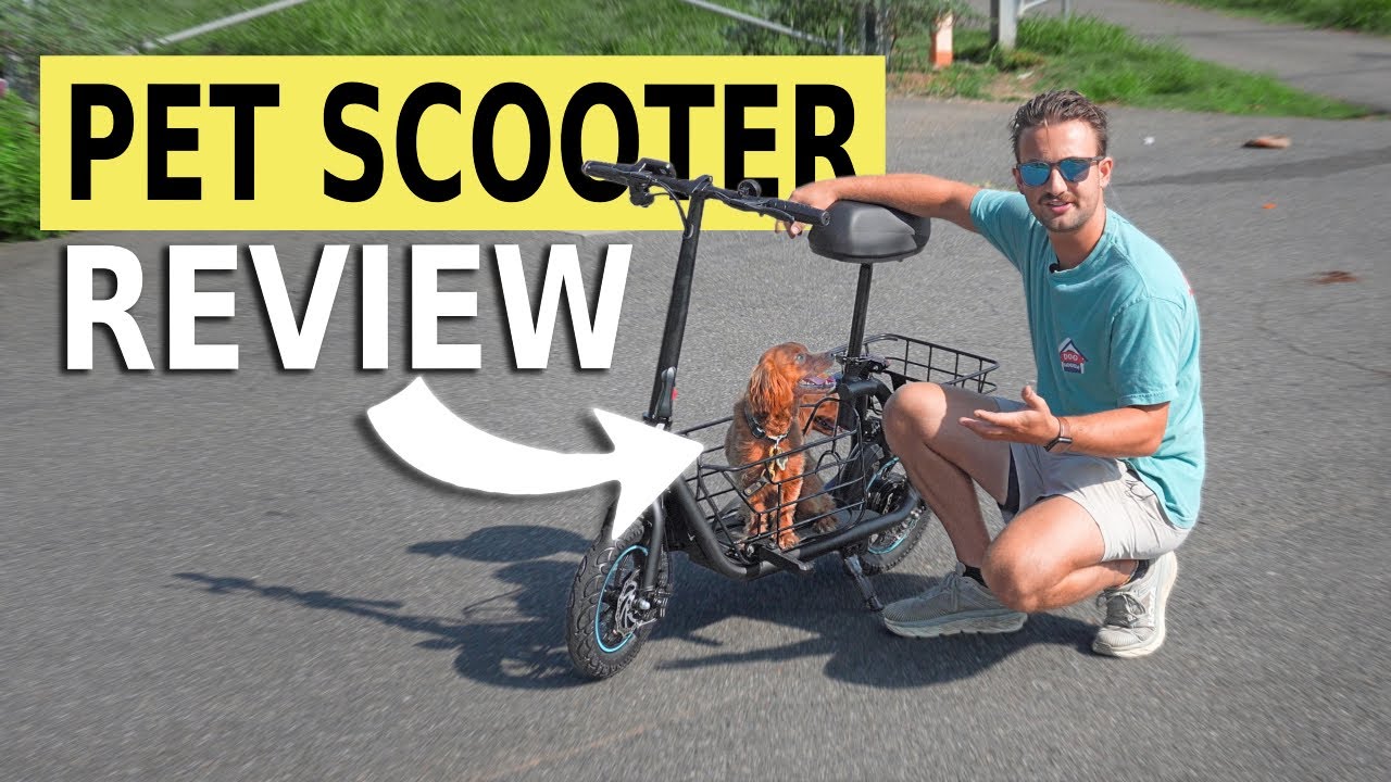 Review of the Gyroor C1S Pet Scooter