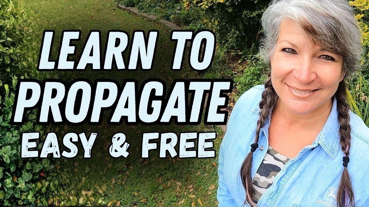 3 Easy Ways To Propagate- No Supplies Needed For Year Round Propagating