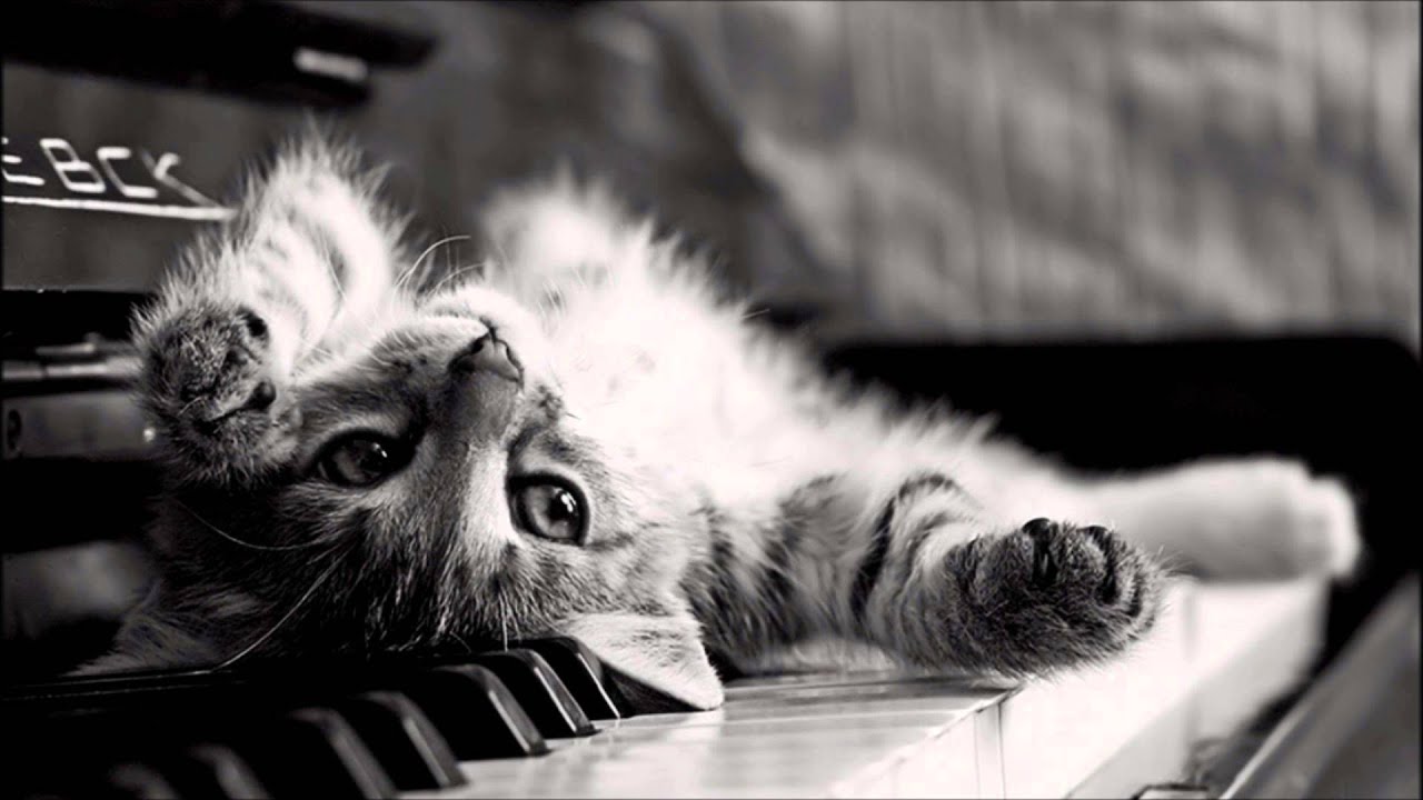 Very Sad and Emotional Piano Music - Palisades by PIANO MELANCOLIA