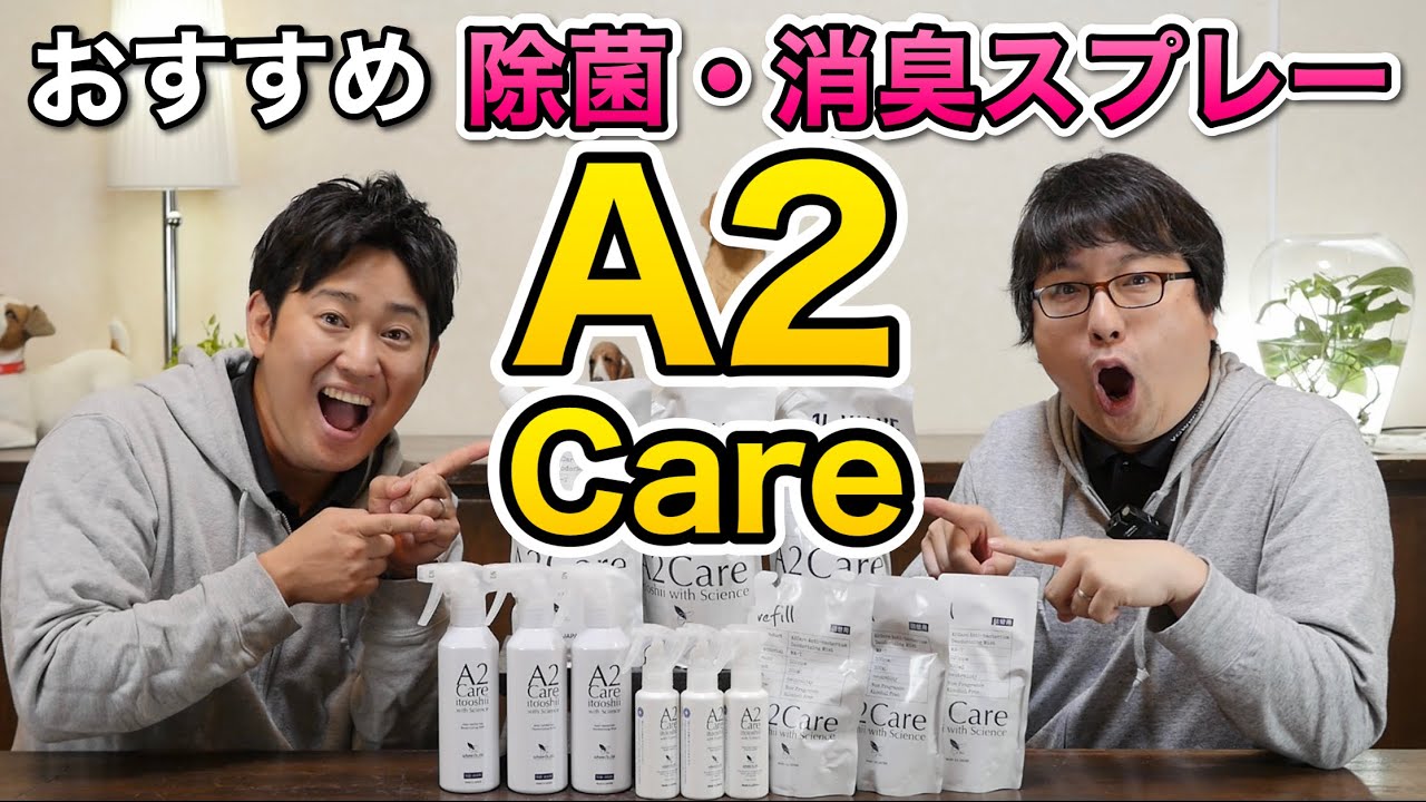 愛犬のトイレのしつけにも！【絶対使ってほしいおすすめ除菌消臭スプレー】をペットショップ店長が紹介します！