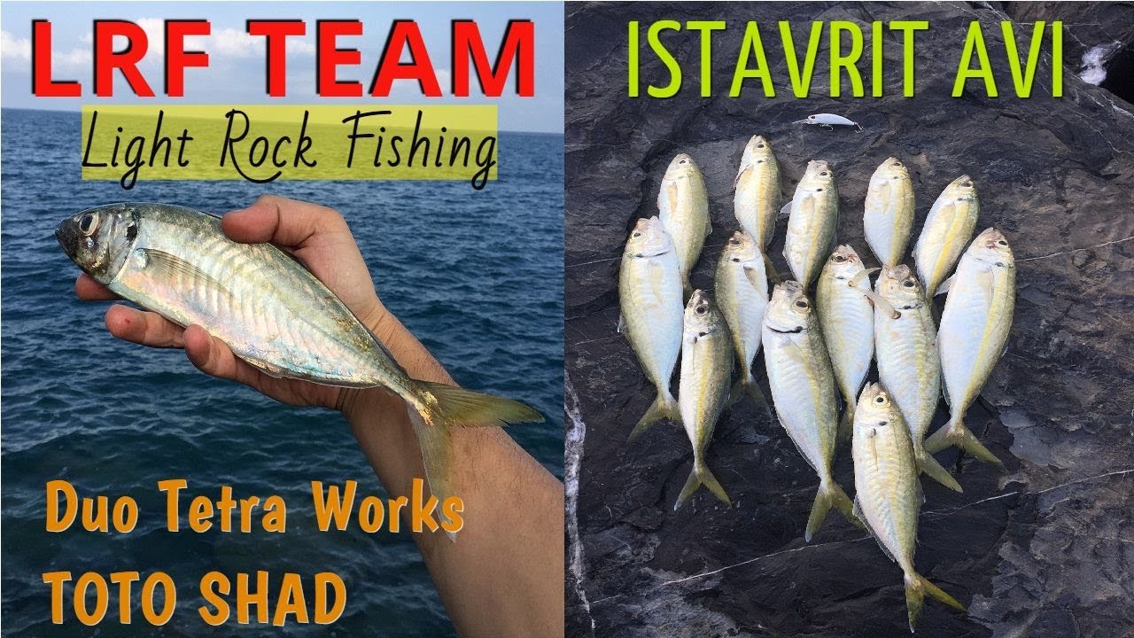 LRF TEAM istavrit avı - Duo Tetra Works TOTO SHAD