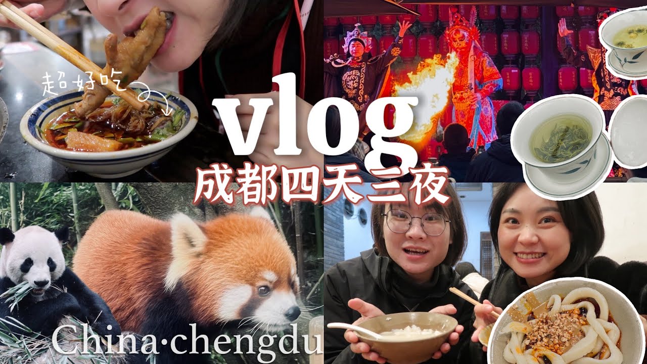 Chengdu Travel Vlog Part 1：生活好安逸～辣火锅 + 人生串串｜小熊猫零距离｜打开都江堰｜IFC