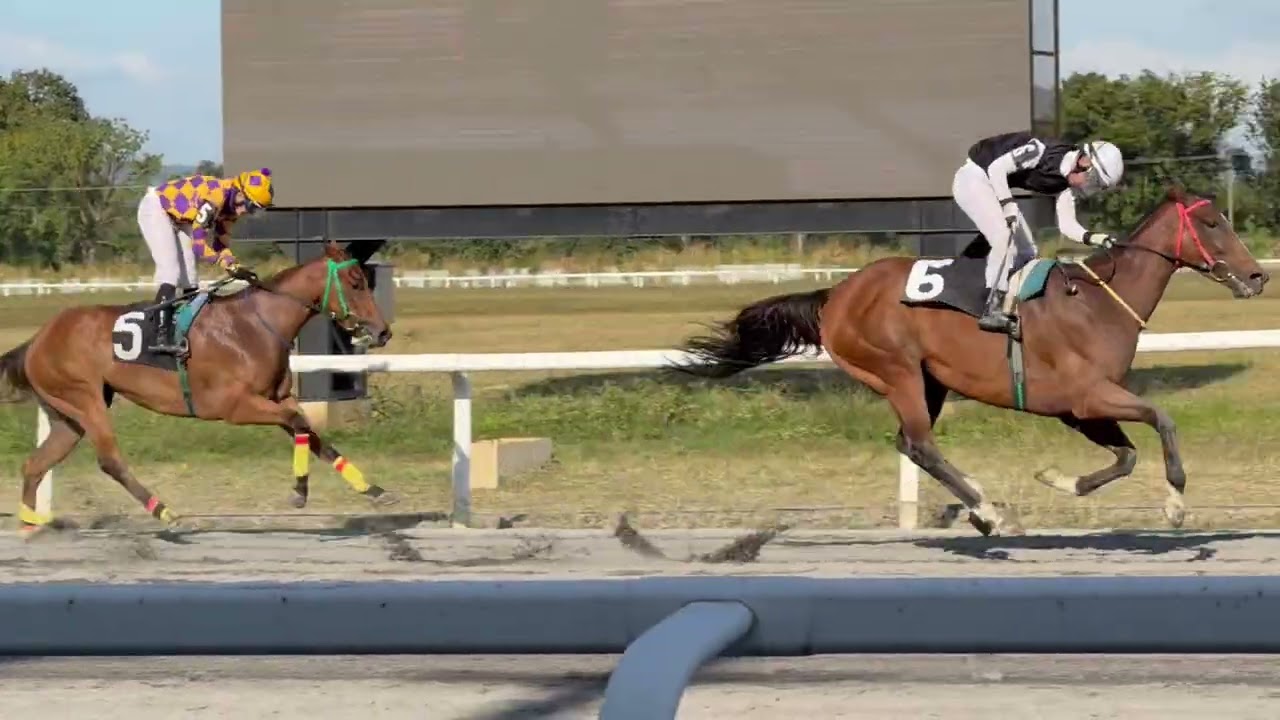 Horse Race
