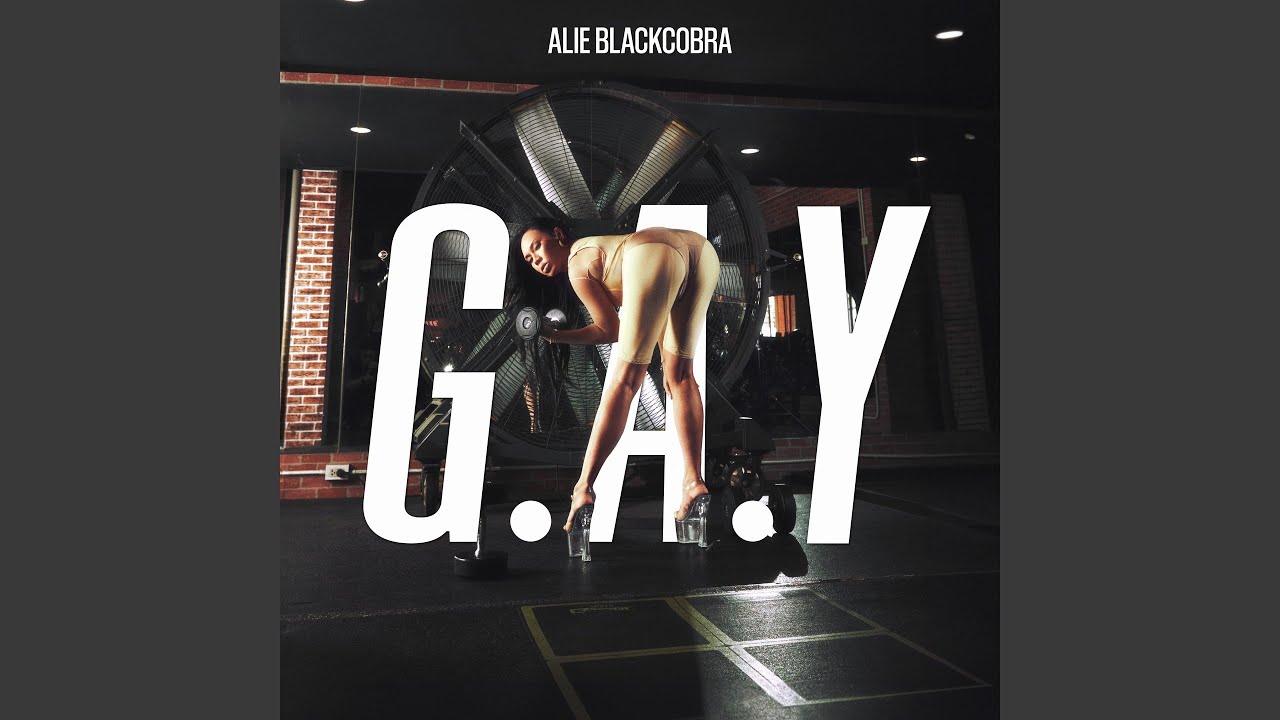 G.A.Y o (^∇^) o