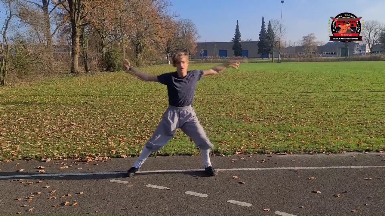 Exercise 3: Shaolin Kungfu: Mabu Gongbu | Martial Arts