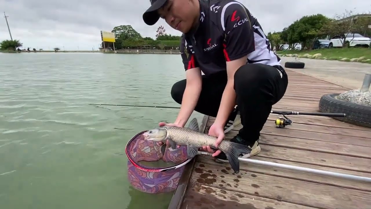 石頭公園休閒池｜釣友提問：如何釣烏鰡 ? 烏鰡釣組分享給你｜ 請開啟字幕｜戰哥愛釣魚