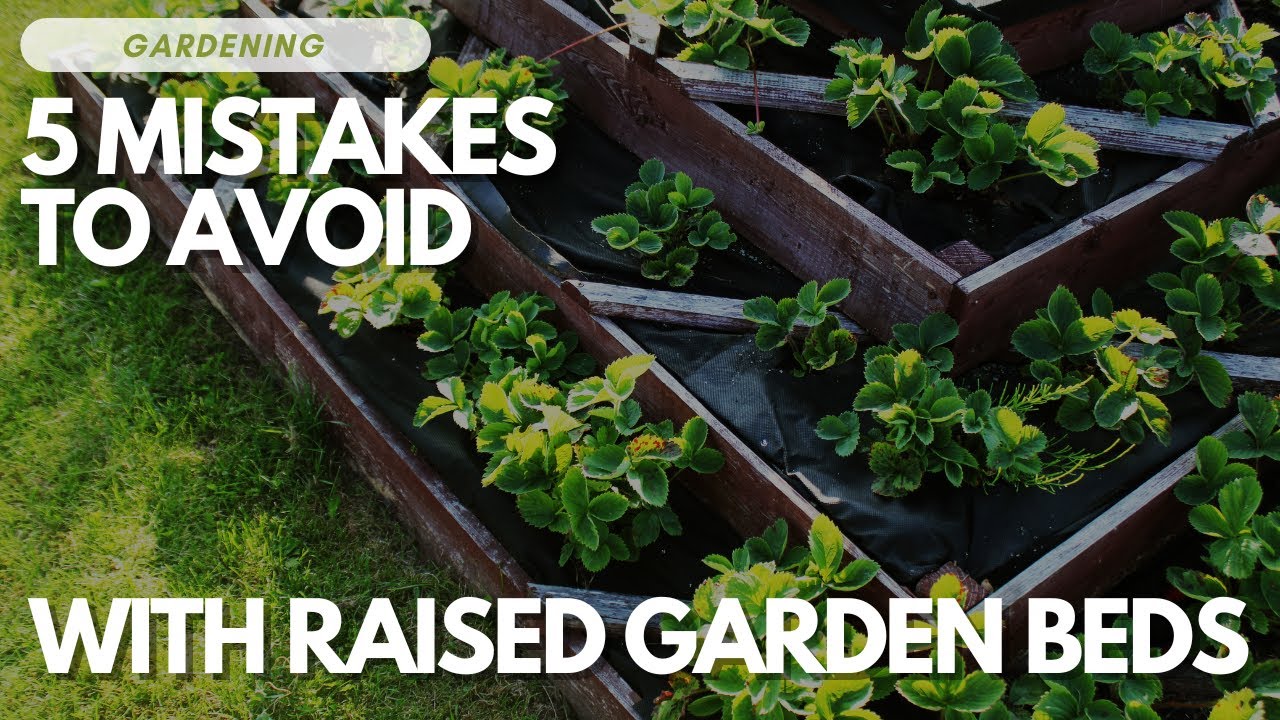 5 Mistakes To Avoid With Raised Garden Beds