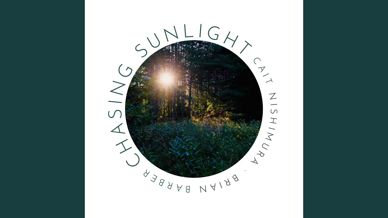 Chasing Sunlight