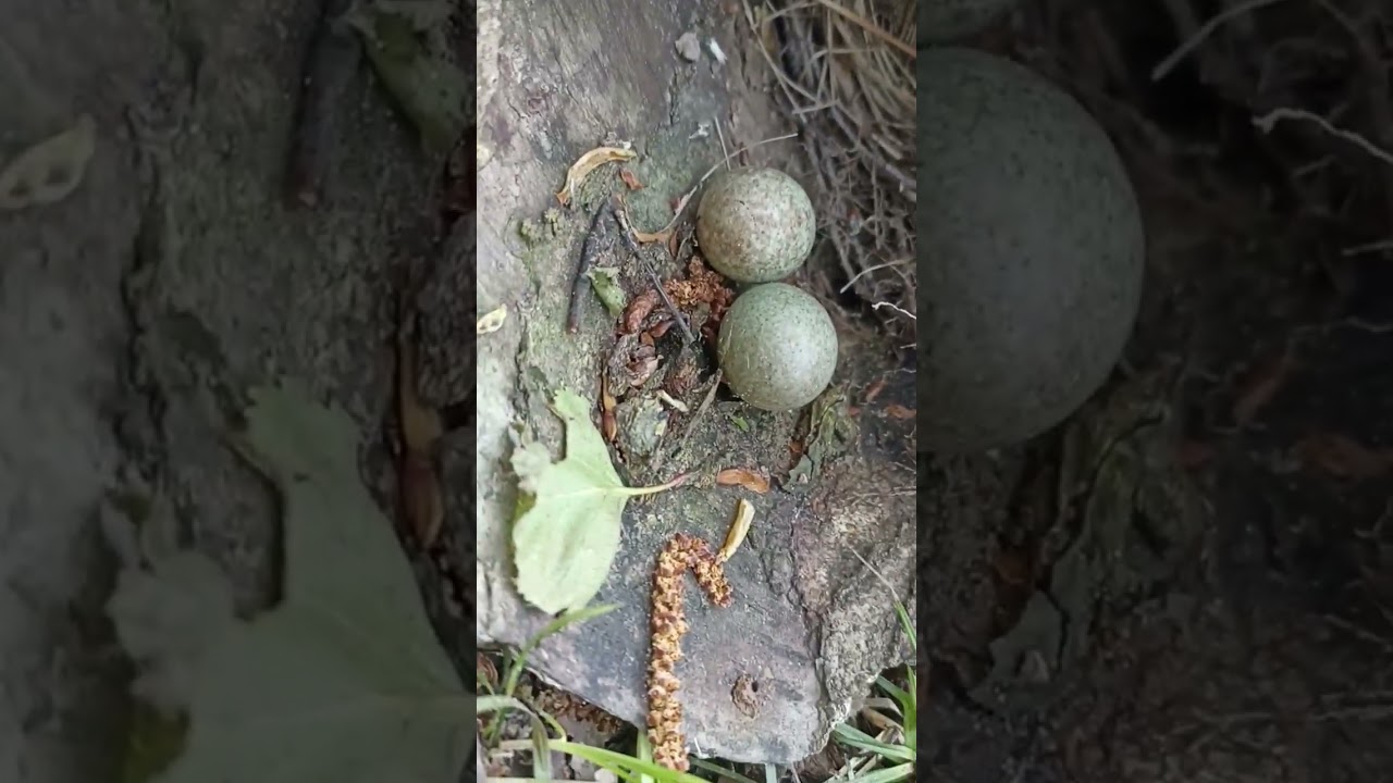 полное видео смотрите у меня на канале... 