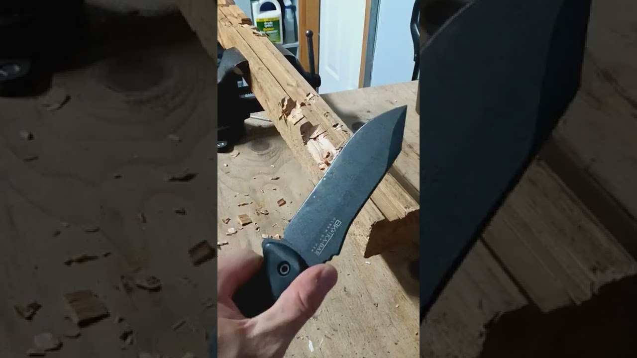 Beasty Beautiful Becker BK-10!