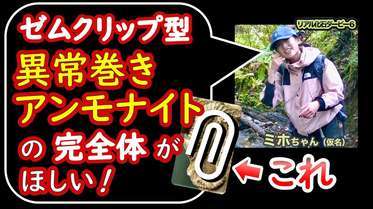 異常巻きアンモナイトが欲しくて【恐竜化石発掘チャレンジin北海道 Part 10】