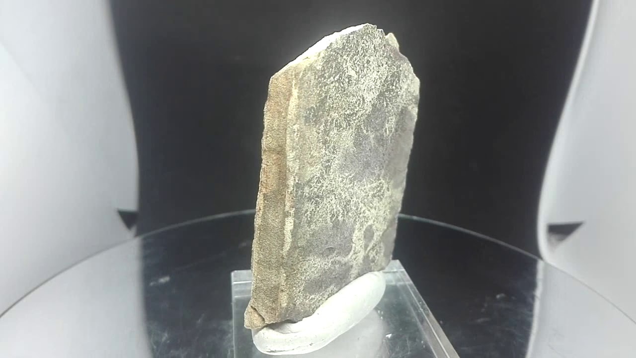 AM0733 Dendritic Pyrolusite