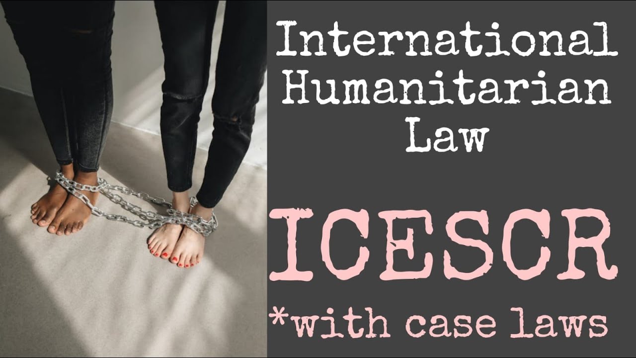 ICESCR: The Treaty Fighting for Your Basic Rights