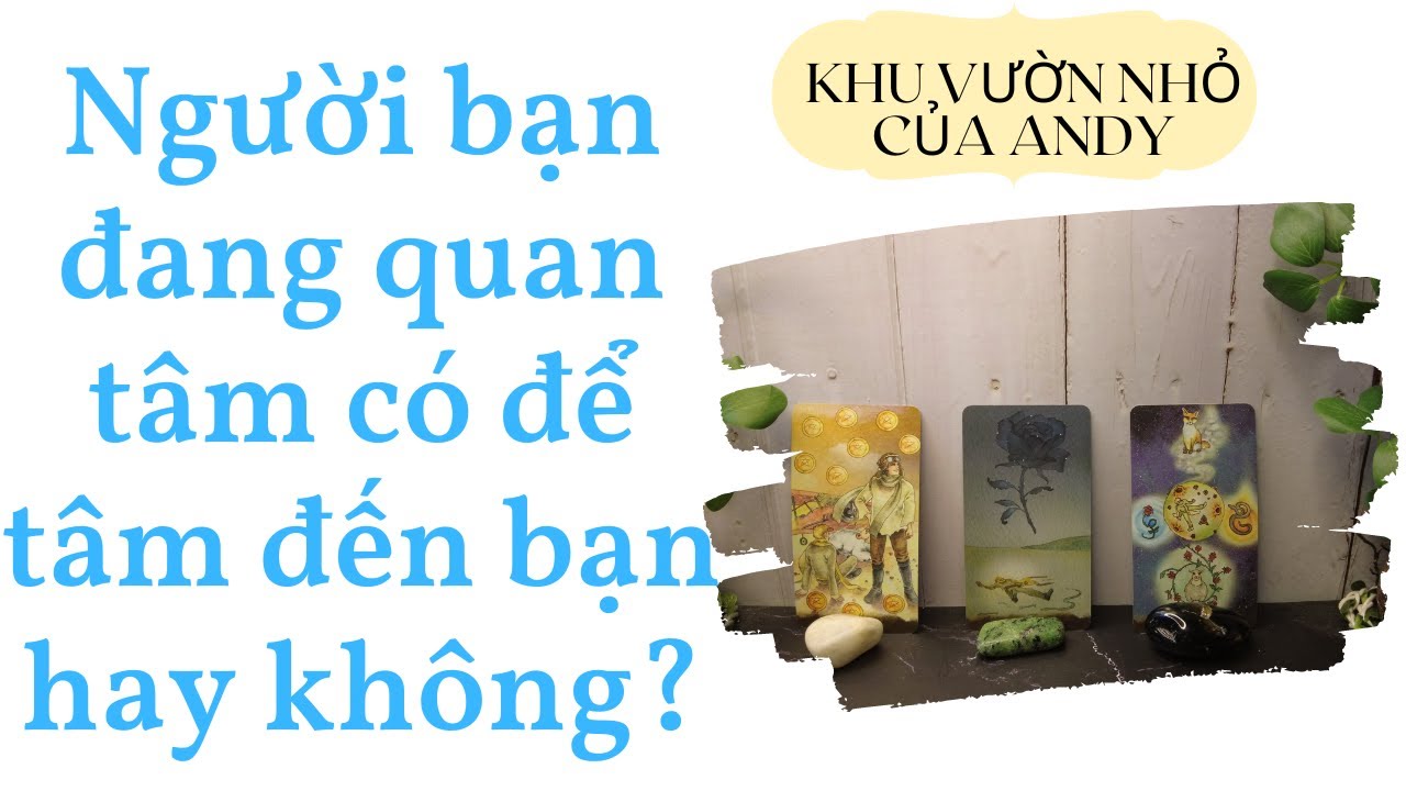 Người bạn quan tâm có để tâm đến bạn không? {Single/Couple/Crush/Ex} | Chọn 1 tụ bài | Xem tarot