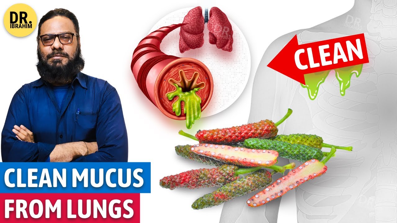 Filfil Daraz Se LUNGS Ke Balgam Ki Safai! Long Pepper for Cleansing Lungs Mucus | Dr. Ibrahim
