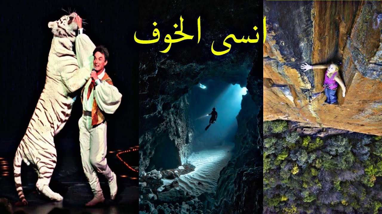 الآن انتهت كل مخاوفك و ستبدأ بعيش حياة حقيقية و ممتعة 🔥 الاقوى على الاطلاق