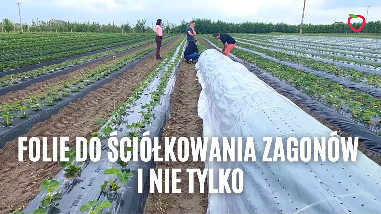 Folie do ściółkowania zagonów i nie tylko. Co warto wiedzieć?