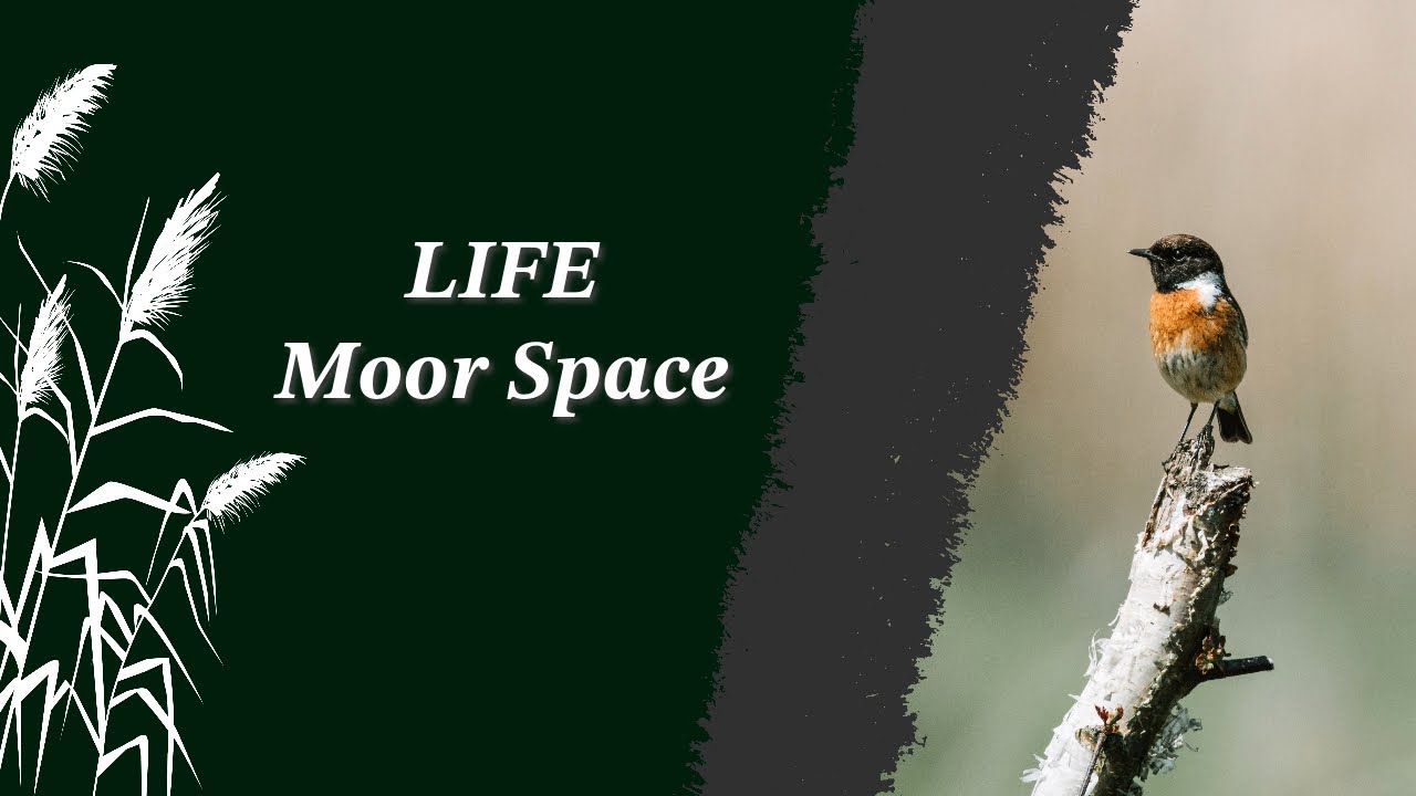 LIFE Moor Space - Connecting the Humberhead Levels