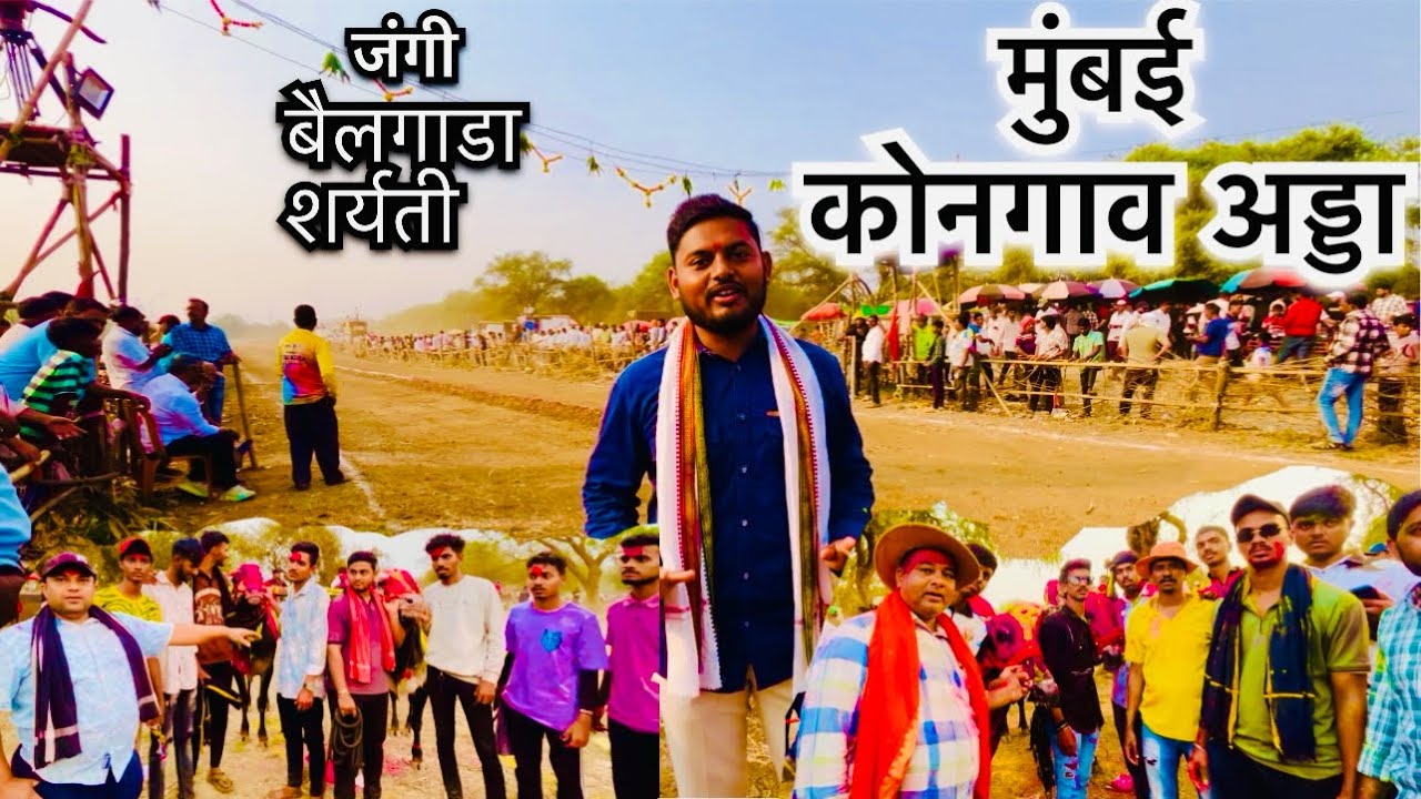 Mumbai kongav adda bailgada sharyat #new #trend #viral #trending #vlog #shortvideo #bailgadasharyat 