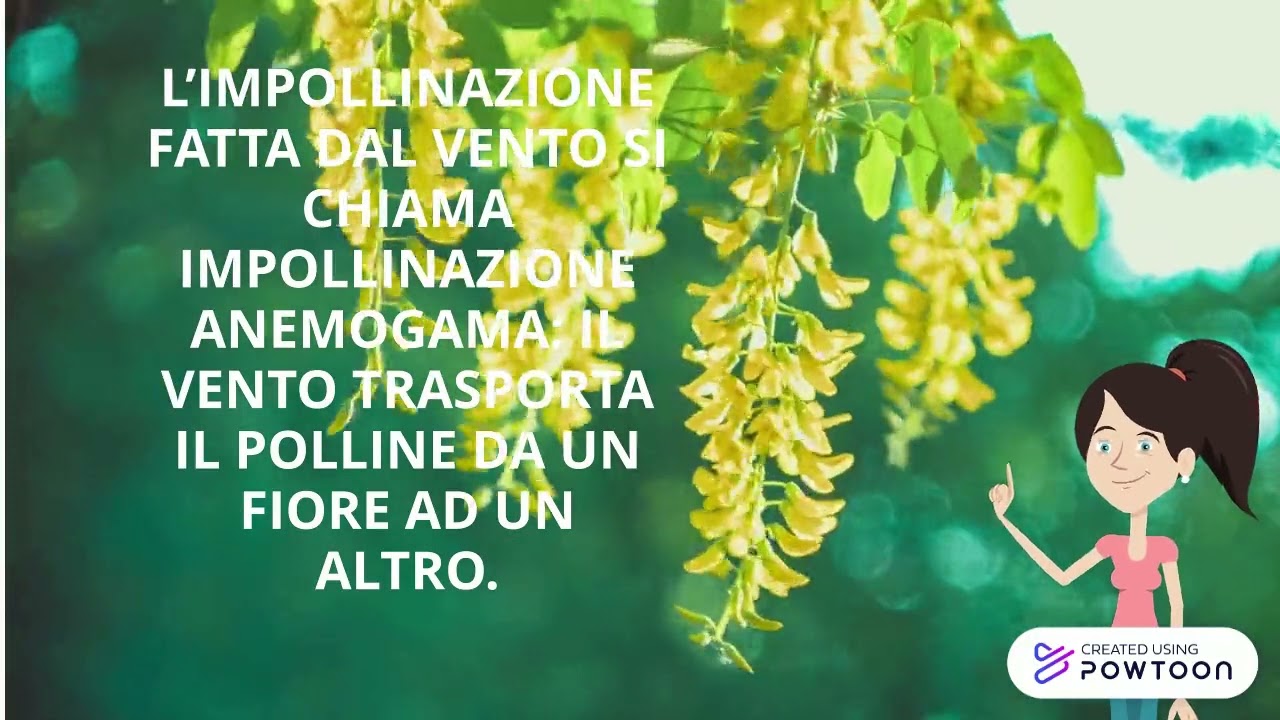 IMPOLLINAZIONE