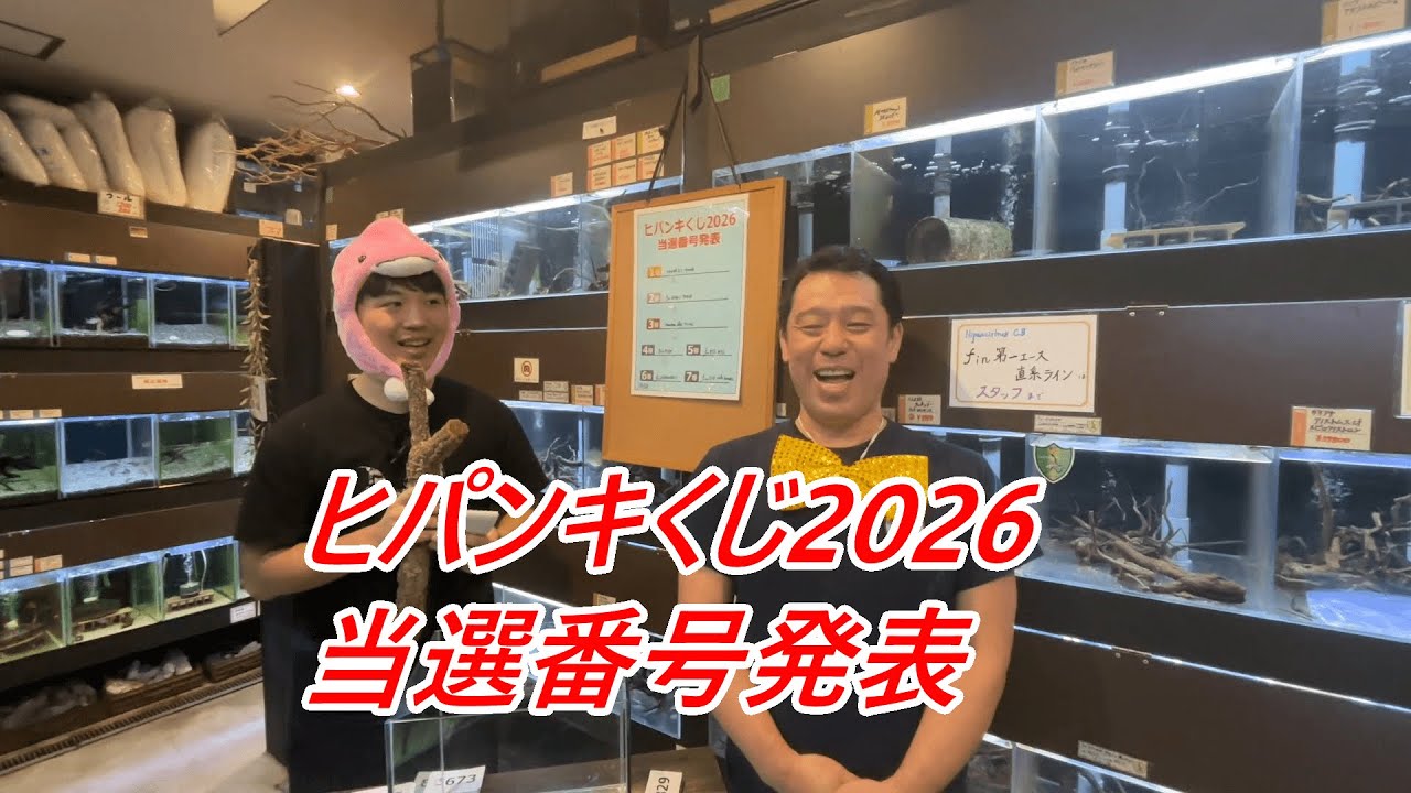 ヒパンキくじ2026当選番号発表