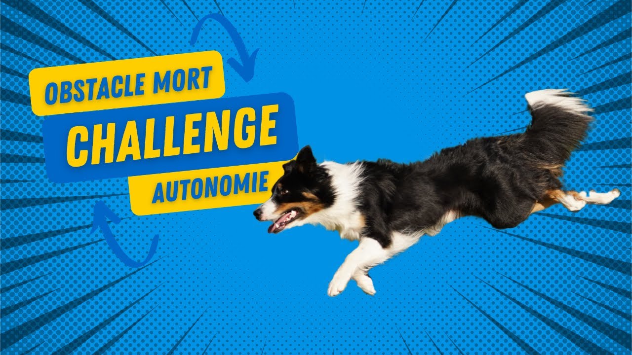 Challenge Agility n°2: obstacle mort et autonomie