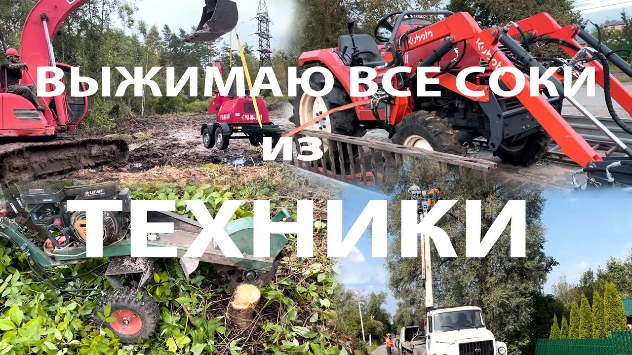Меня обокрали!!! Снова обновки.