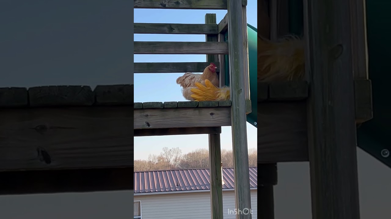 Super Klucker