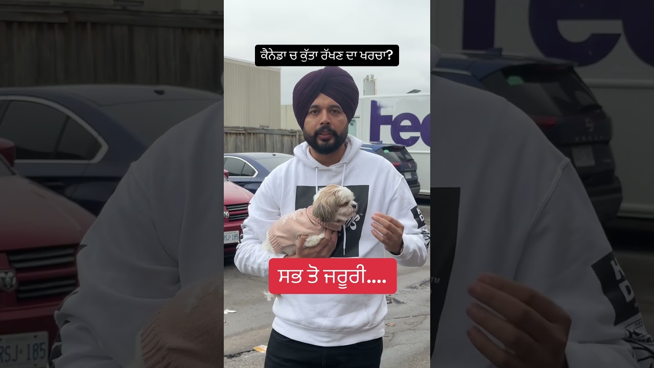 For Dog lovers #dog #canada #pet #cost #punjabi #brampton #student #petlover #doglover #dollarmedia
