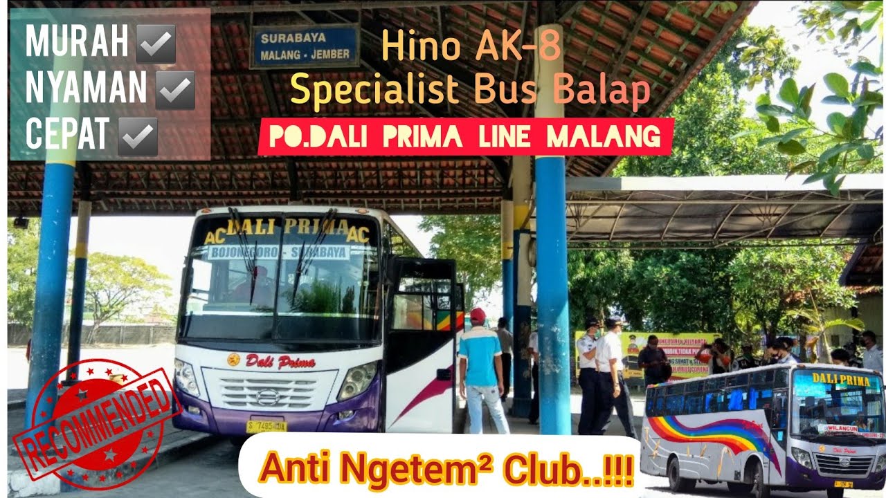 BUS andalan Sang Pemburu Waktu!!! Trip Report Singkat Bus DALI PRIMA |  Bojonegoro-Malang